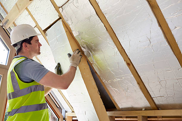 Best Insulation Installation Services in Lake Clarke Shores, FL